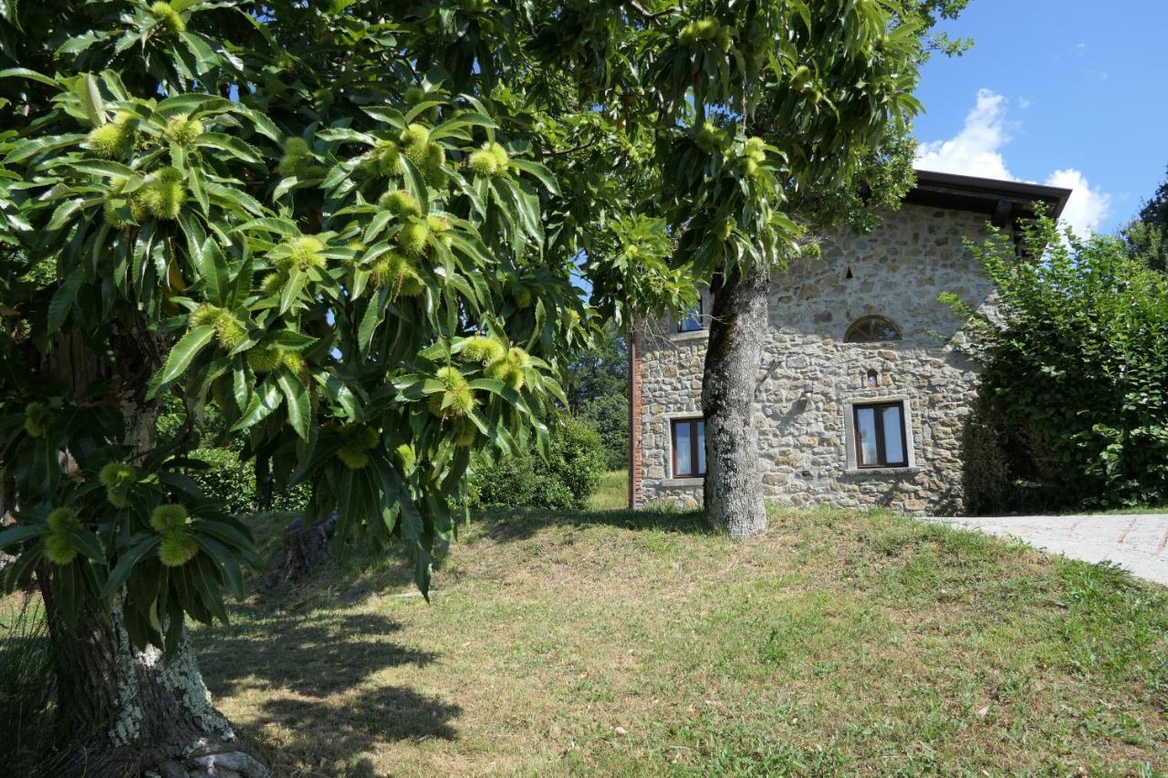Agriturismo Braccicorti Pieve Fosciana Exterior photo