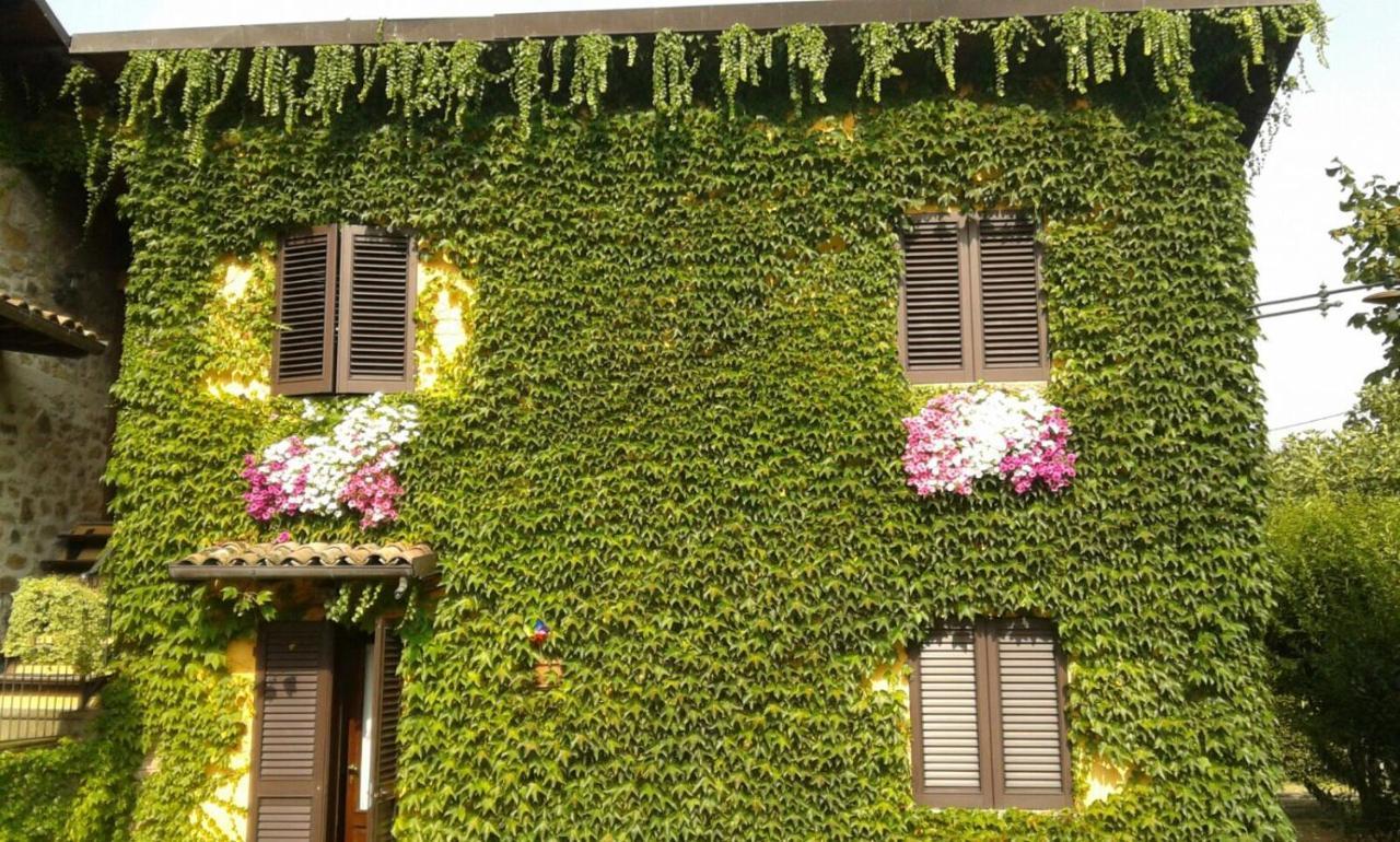 Agriturismo Braccicorti Pieve Fosciana Exterior photo