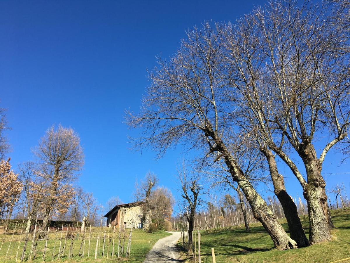 Agriturismo Braccicorti Pieve Fosciana Exterior photo